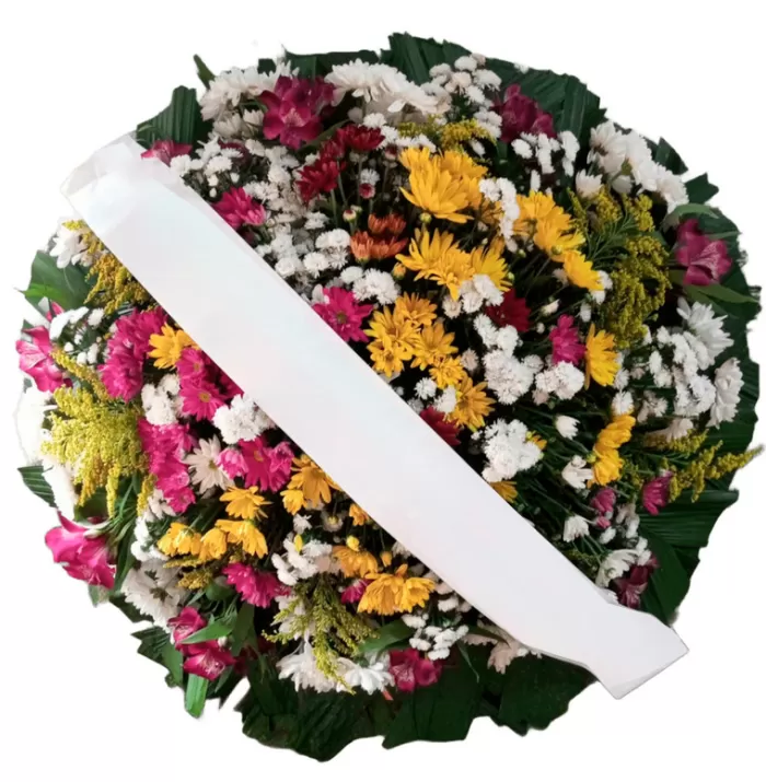 Entrega de José A Gurgel | Floreslândia